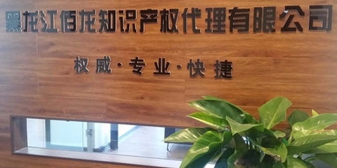 佰龙知识产权
